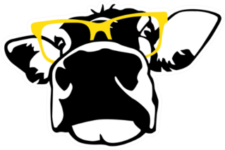 Portrait Of Head Of Cow Sunglasses Sticker