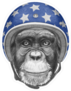 Portrait Of Monkey With Helmet Sticker