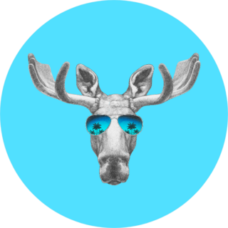 Portrait Of Moose With Mirror Sunglasses Sticker
