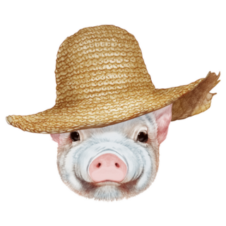 Portrait  Of Piggy With Straw Hat Farm Sticker