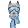 Portrait Of Pit Bull In Ski Goggles Sticker