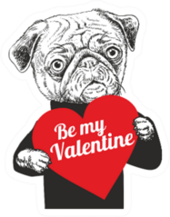 Portrait Of Pug Dog Holding Heart Be My Valentine Sticker
