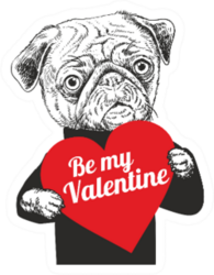 Portrait Of Pug Dog Holding Heart Be My Valentine Sticker