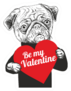 Portrait Of Pug Dog Holding Heart Be My Valentine Sticker