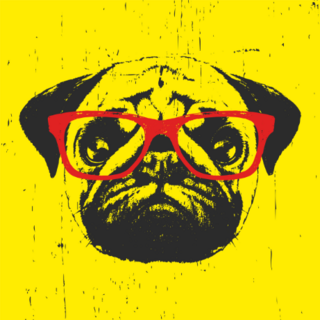 Portrait Of Pug Dog With Glasses Sticker