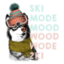 Portrait Of Siberian Husky Dog Ski Mode Mood Sticker