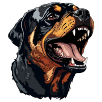 Portrait Rottweiler Sticker
