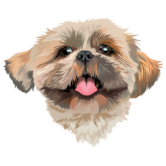 Portrait Shih Tzu Sticker