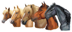 Portraits Of Horses Breeds Looking In Profile Sticker