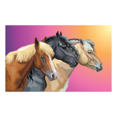 Portraits Of Horses Breeds On Rainbow Sticker