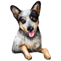 Posed Cattle Dog Sticker