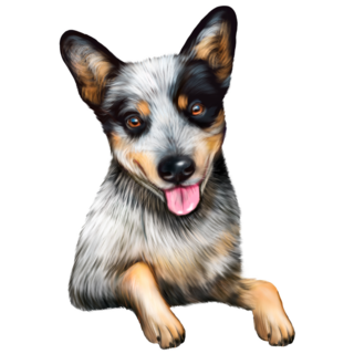 Posed Cattle Dog Sticker