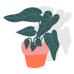 Potted Elephant Ear Indoor Plant Sticker