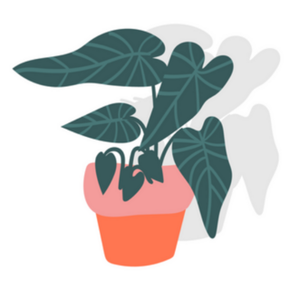 Potted Elephant Ear Indoor Plant Sticker