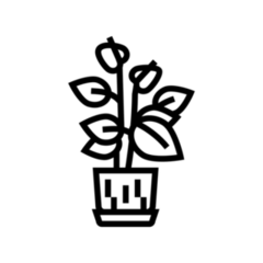 Potted Plant Transfer Sticker