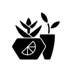 Potted Succulents Transfer Sticker