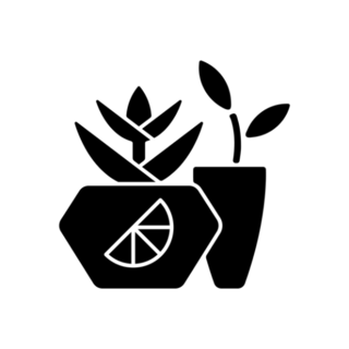 Potted Succulents Transfer Sticker