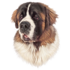 Powerful Dog Breed Sticker