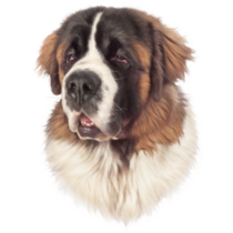 Powerful Dog Breed Sticker