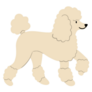 Prancing Poodle Sticker