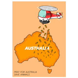 Pray For Australia Sticker