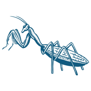 Praying Mantis Insect In Blue Sticker 
