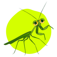 Praying Mantis On Green Circle Sticker