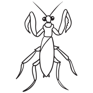 Praying Mantis Sketch Illustration Sticker