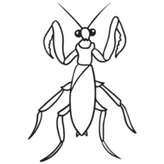 Praying Mantis Sketch Illustration Sticker