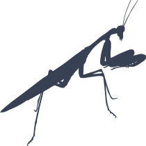 Praying Mantis Sticker
