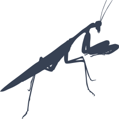 Praying Mantis Sticker