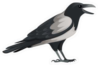 Predatory Bird Adult Black And Gray Crow Cartoon Sticker