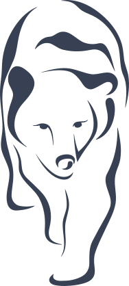 Pretty Bear Outline Sticker