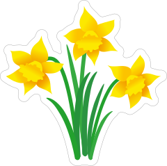 Pretty Daffodil Sticker