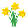 Pretty Daffodil Sticker