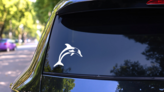 Pretty Dolphin Sticker on a Rear Car Window (New) example