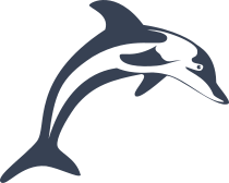 Pretty Dolphin Sticker