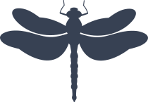 Pretty Dragonfly Sticker