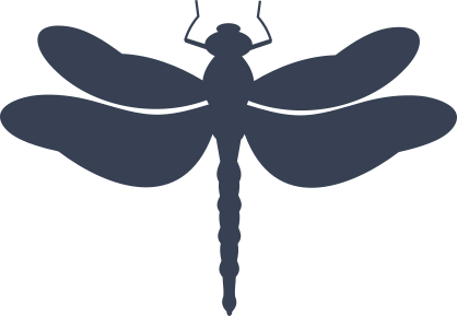 Pretty Dragonfly Sticker