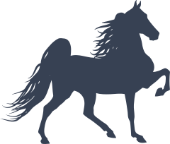 Pretty Horse Silhouette Sticker