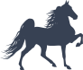 Pretty Horse Silhouette Sticker