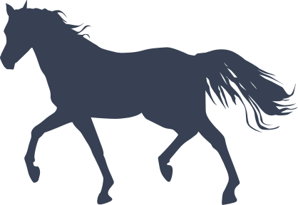 Pretty Horse Sticker