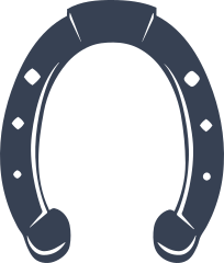 Pretty Horseshoe Sticker