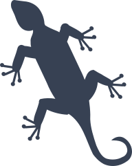 Pretty Lizard Gecko Sticker