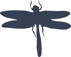 Pretty Lovely Dragonfly Sticker