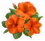 Pretty Orange Hibiscus Flower Sticker