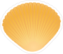 Pretty Orange Seashell Sticker
