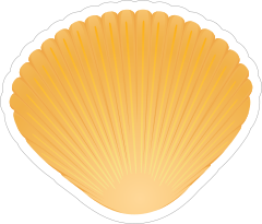 Pretty Orange Seashell Sticker