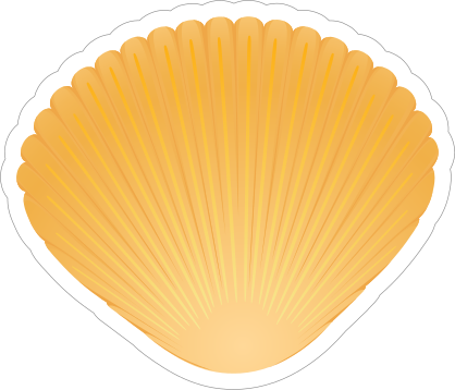 Pretty Orange Seashell Sticker