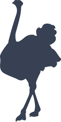 Pretty Ostrich Sticker